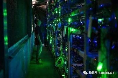 A modern mining farm with numerous machines