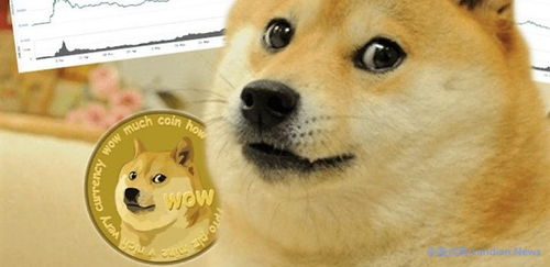 Dogecoin mining setup